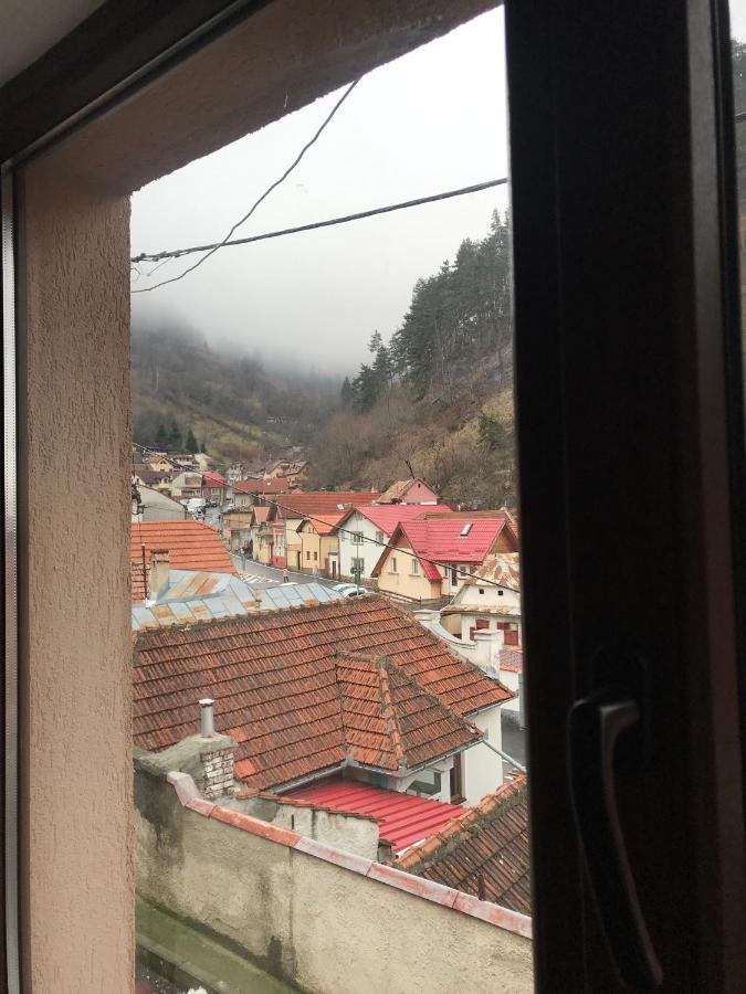 Casa Mountain View Vila Braşov Exterior foto