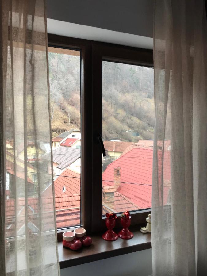 Casa Mountain View Vila Braşov Exterior foto