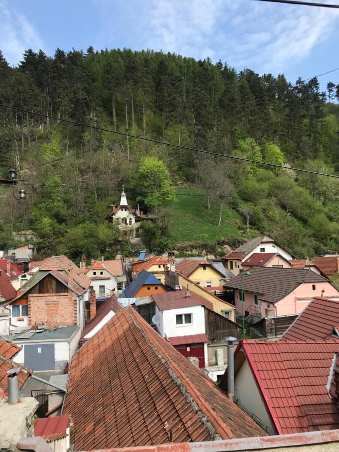 Casa Mountain View Vila Braşov Exterior foto
