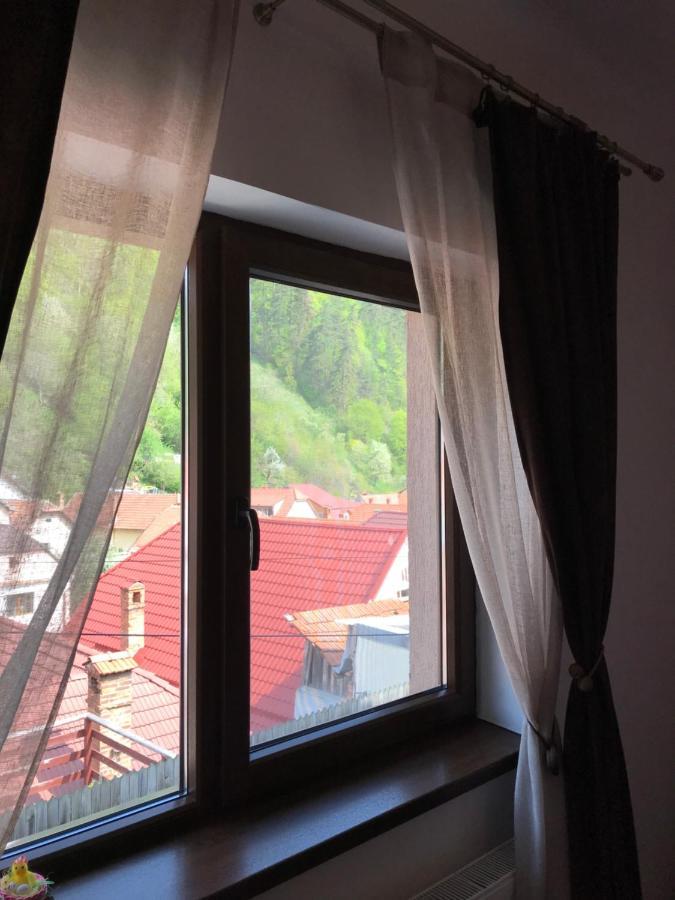 Casa Mountain View Vila Braşov Exterior foto
